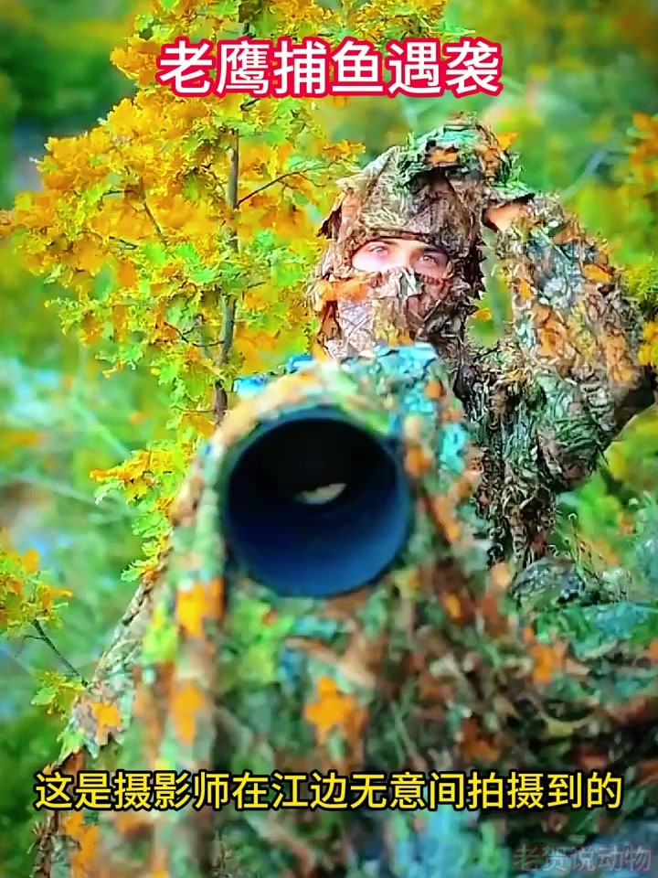 江边偶遇伪装大师,摄影师无意拍到的老鹰捕鱼瞬间!