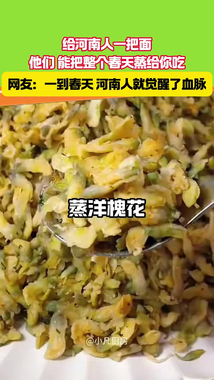 给河南人一把面,可以蒸整个春天 蒸菜 河南人