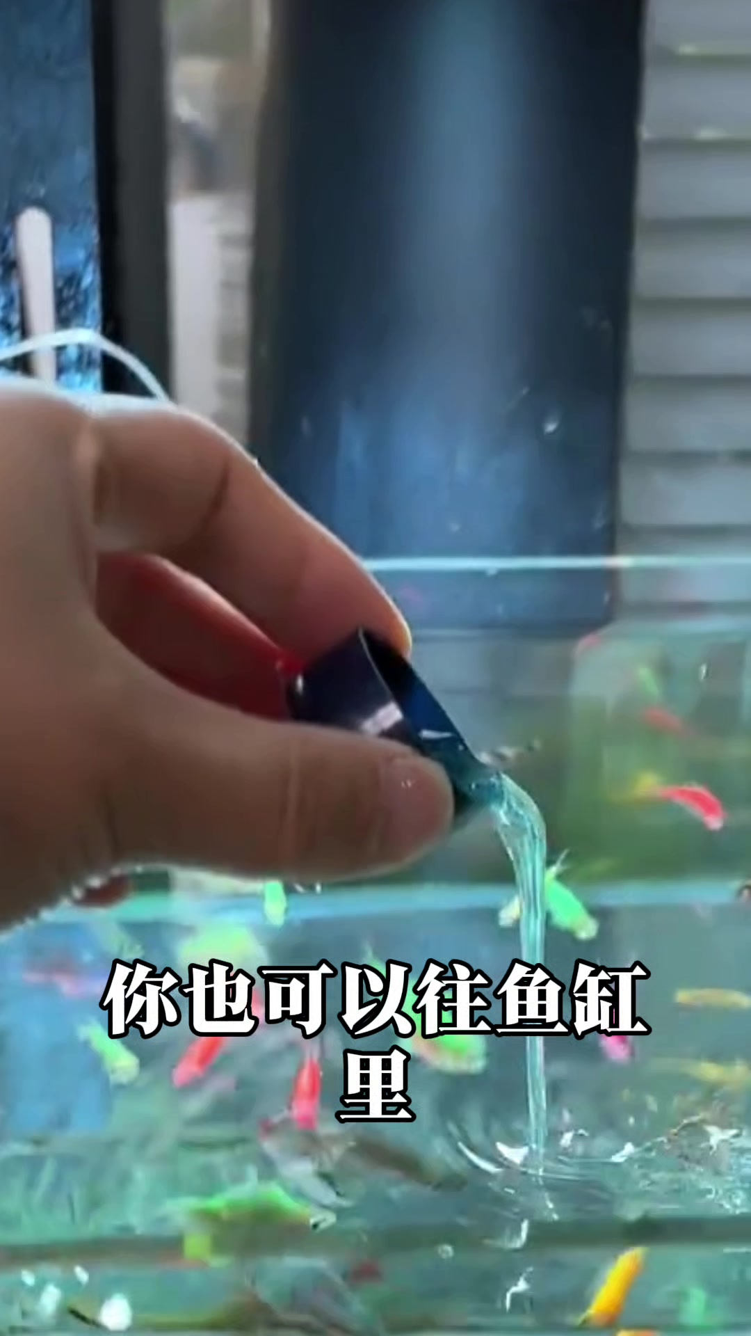 鱼缸壁上有水垢 还不好清理