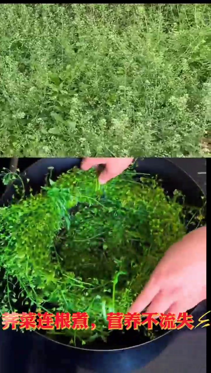 三月三,荠菜煮鸡蛋。你知道了吗?