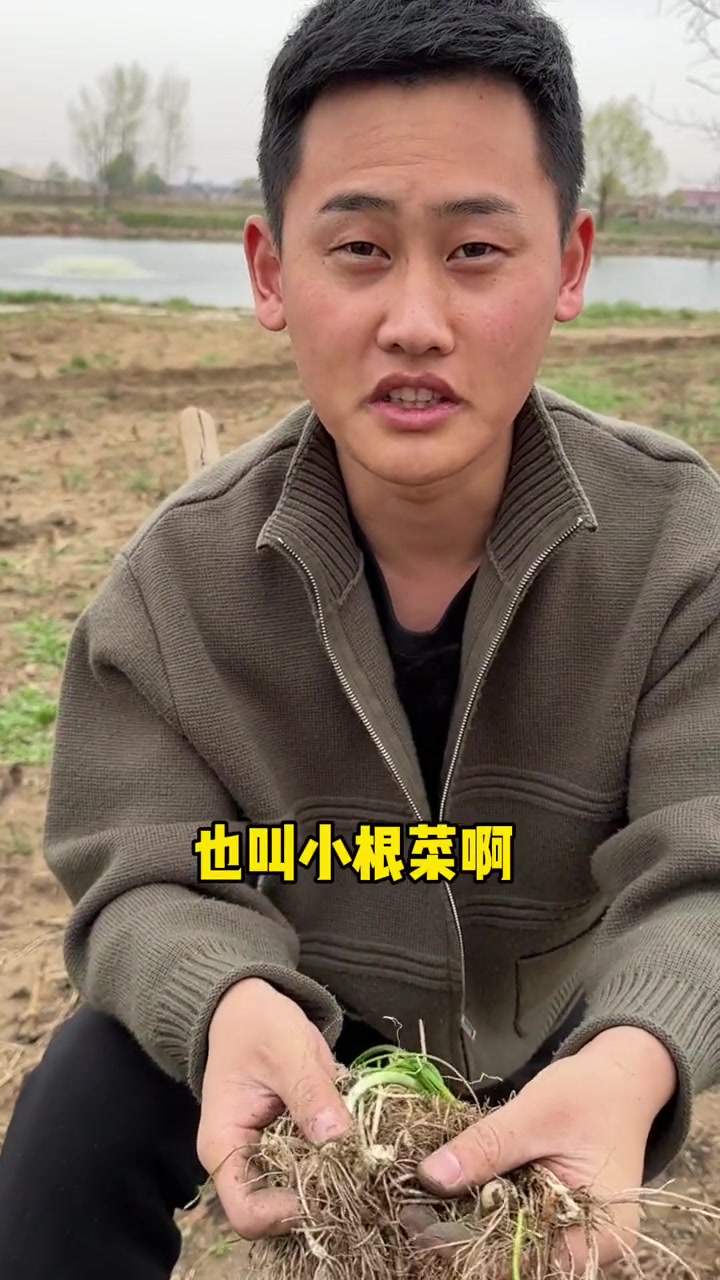 带南方小舅子在东北挖野菜