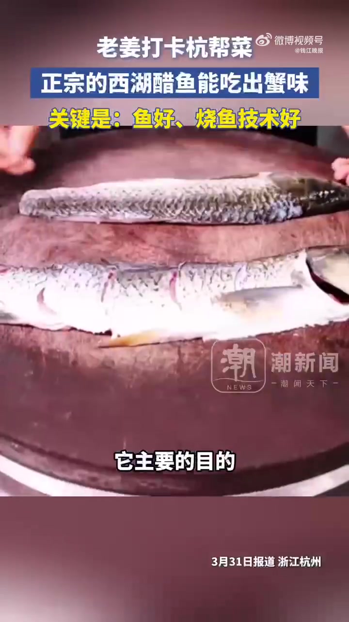 「正宗的西湖醋鱼能吃出螃蟹味」说西湖醋鱼不好吃,不少杭帮菜的厨师其实是不服气的。作为老杭州