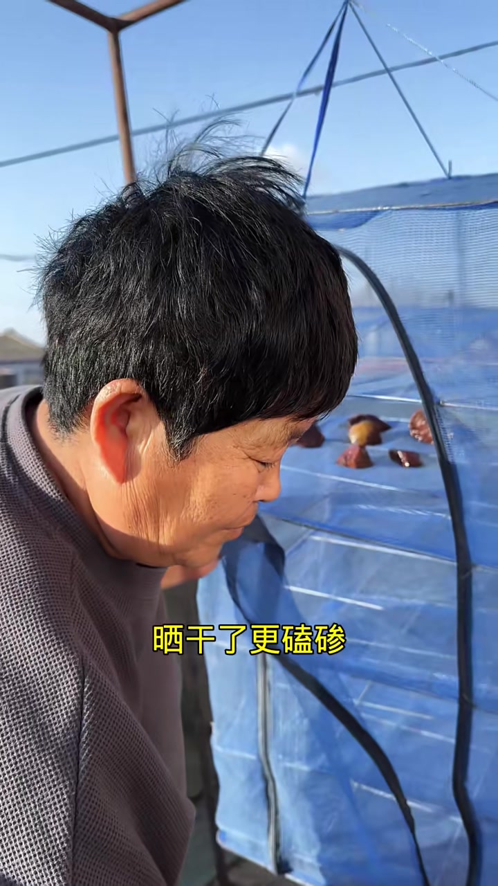 我妈今天烀芥菜疙瘩咸菜,我们也叫红咸菜,晒好了以后黑不溜秋的,但是味道很香