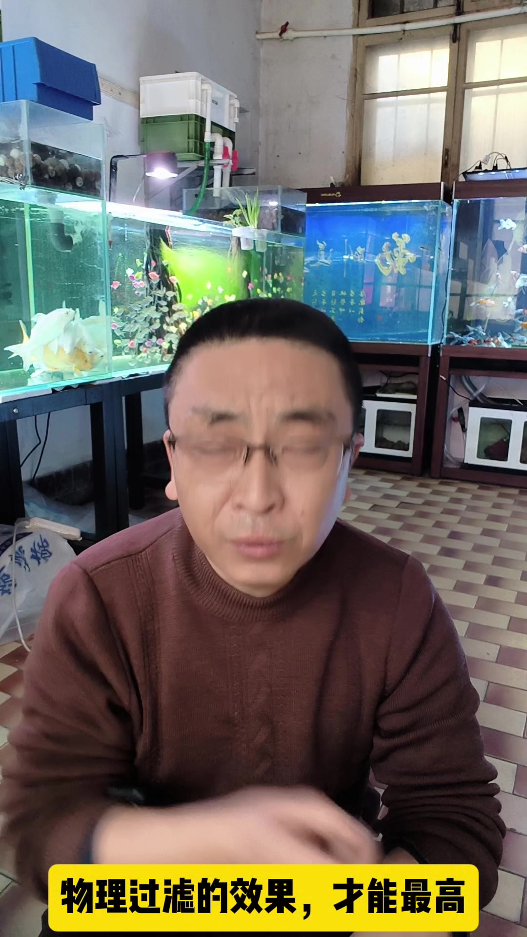 鱼缸养水程序,其实很简单