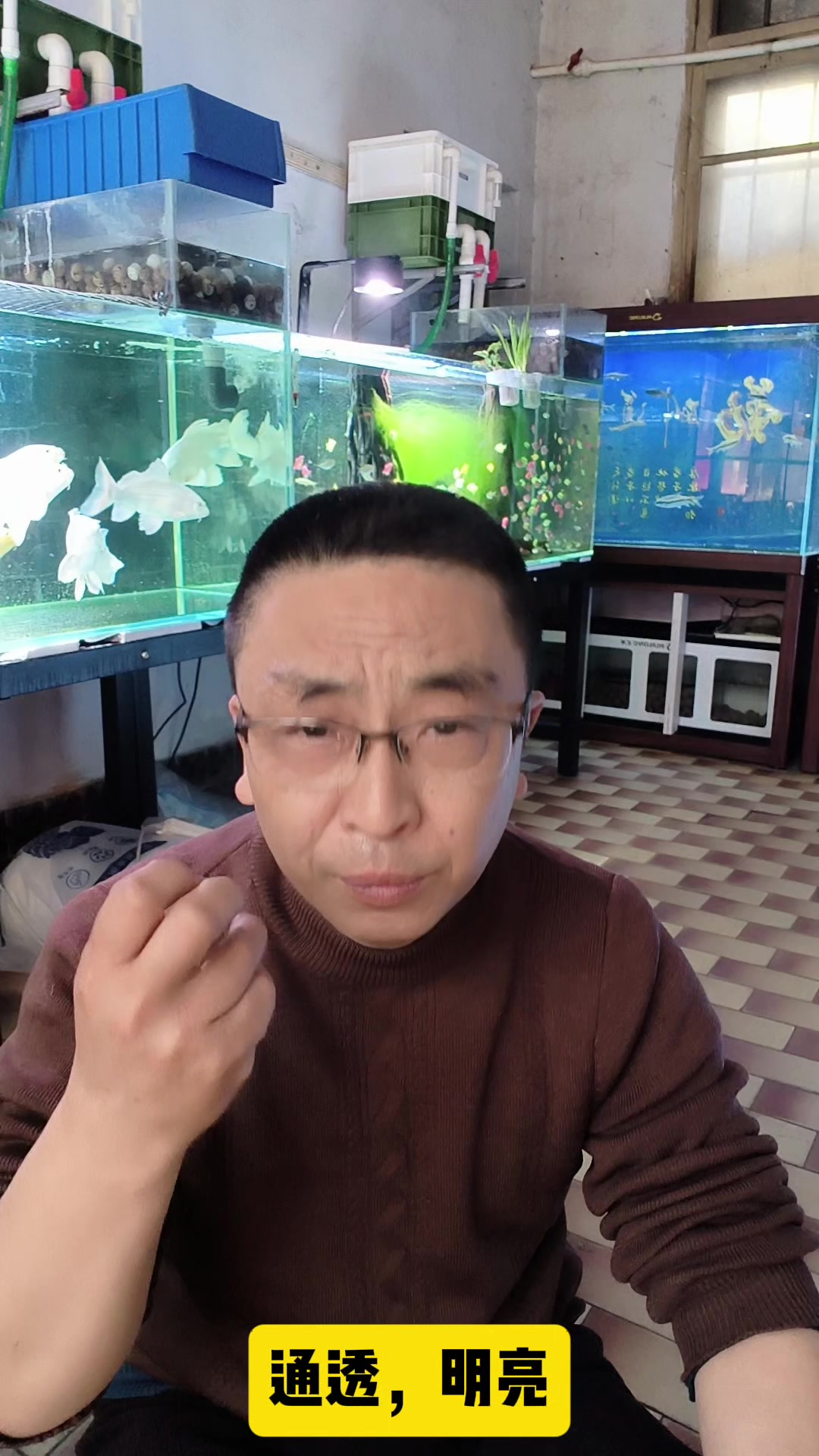 养鱼不换水该多好,可能吗?