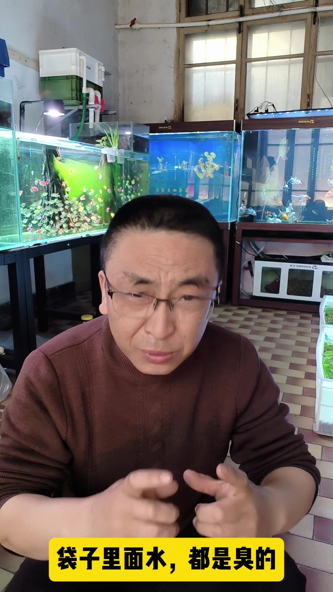 这个季节不能买观赏鱼?