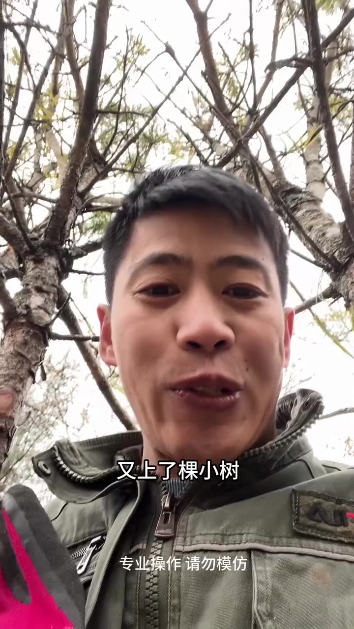 每年一到这个季节,我媳妇就手脚冰凉,今天我给她做点阿胶固元糕吃