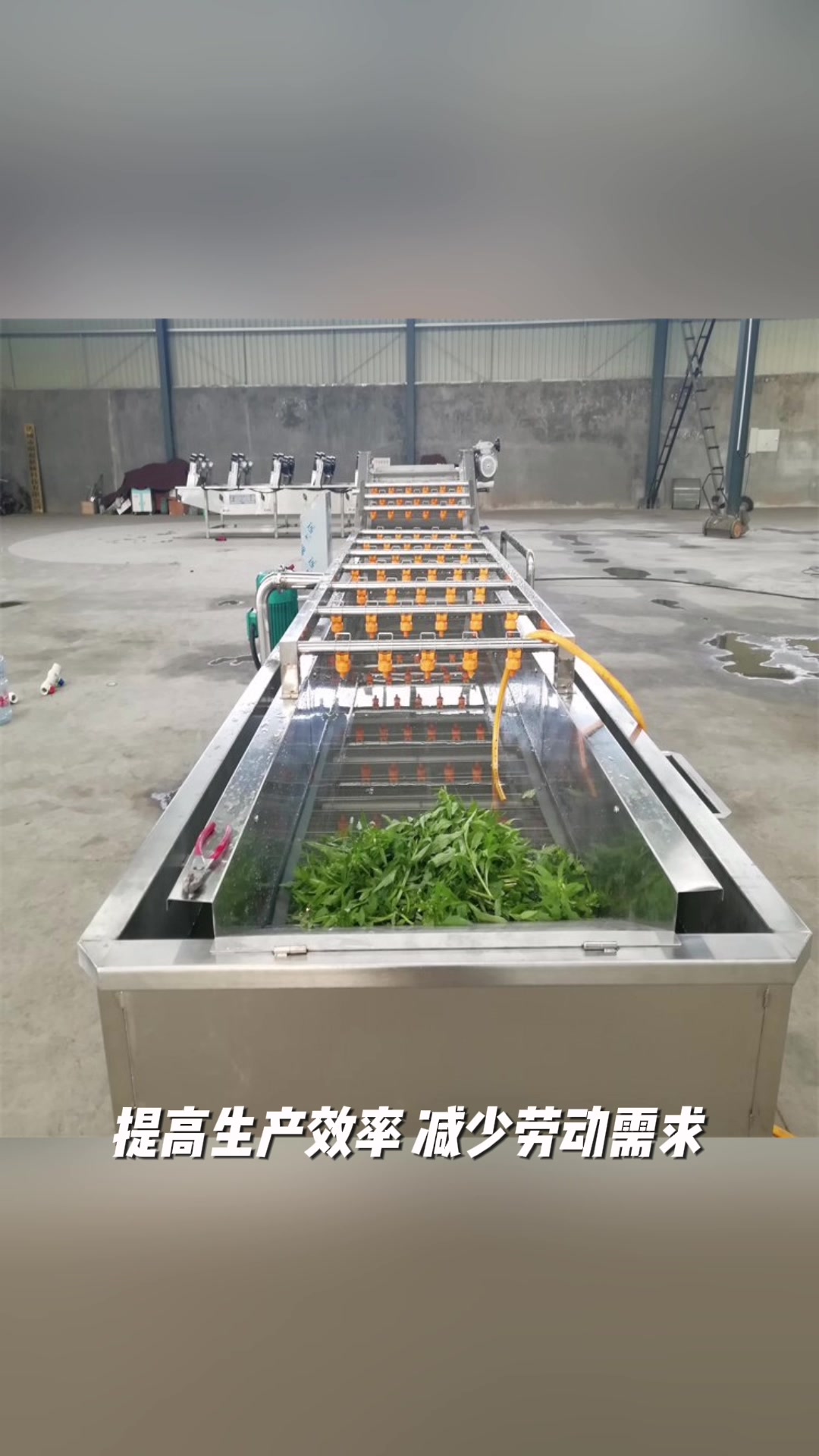 预制菜加工流水线 净菜加工设备