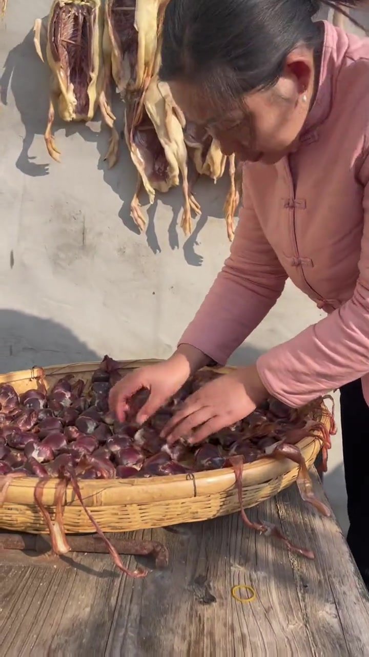 农村散养草麻鸭