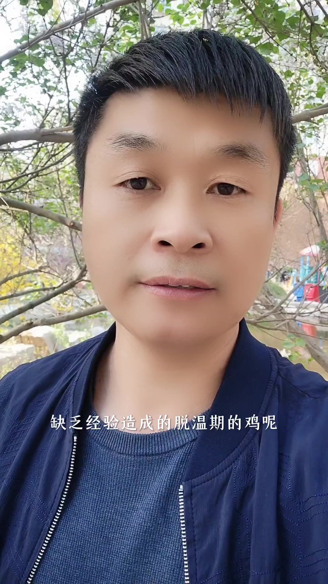买脱温鸡或者半大鸡回家出现咳嗽呼噜伸脖喘,这样做安全