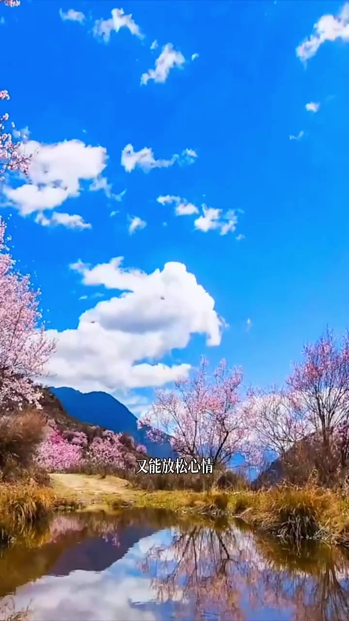清明节气到啦,养生必须跟上!不然湿气重、精神差可就麻烦了,想不想知道超实用的养生方案?快往