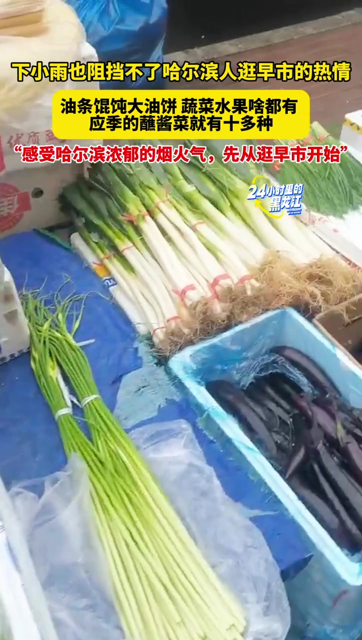 4月2日哈尔滨,下小雨也阻挡不了哈尔滨人逛早市的热情,油条馄饨大油饼,蔬菜水果啥都有,应季