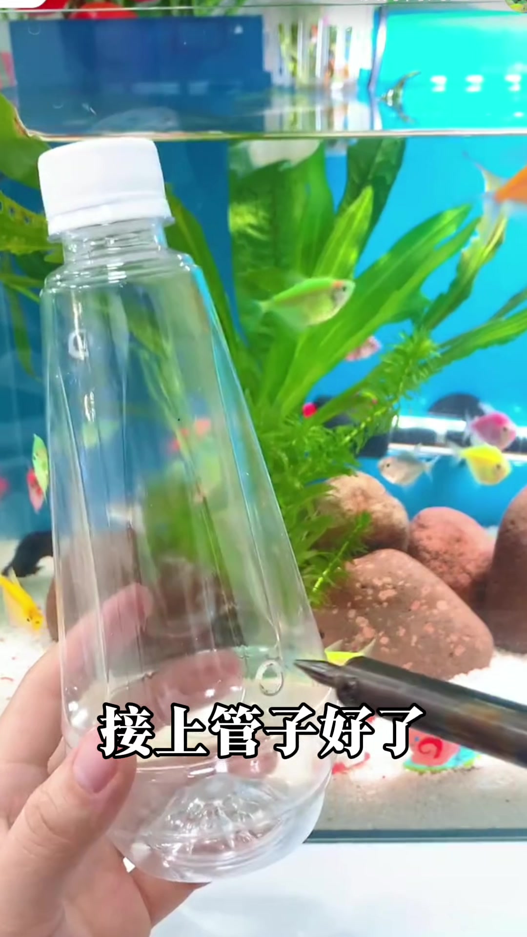 不花钱的鱼缸水循环来了