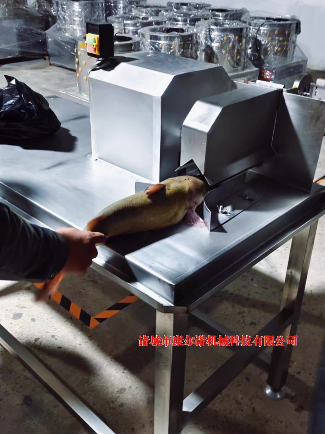 小型清江鱼鱼头劈半机 鳙鱼头开半机器 鲢鱼头切割机视频