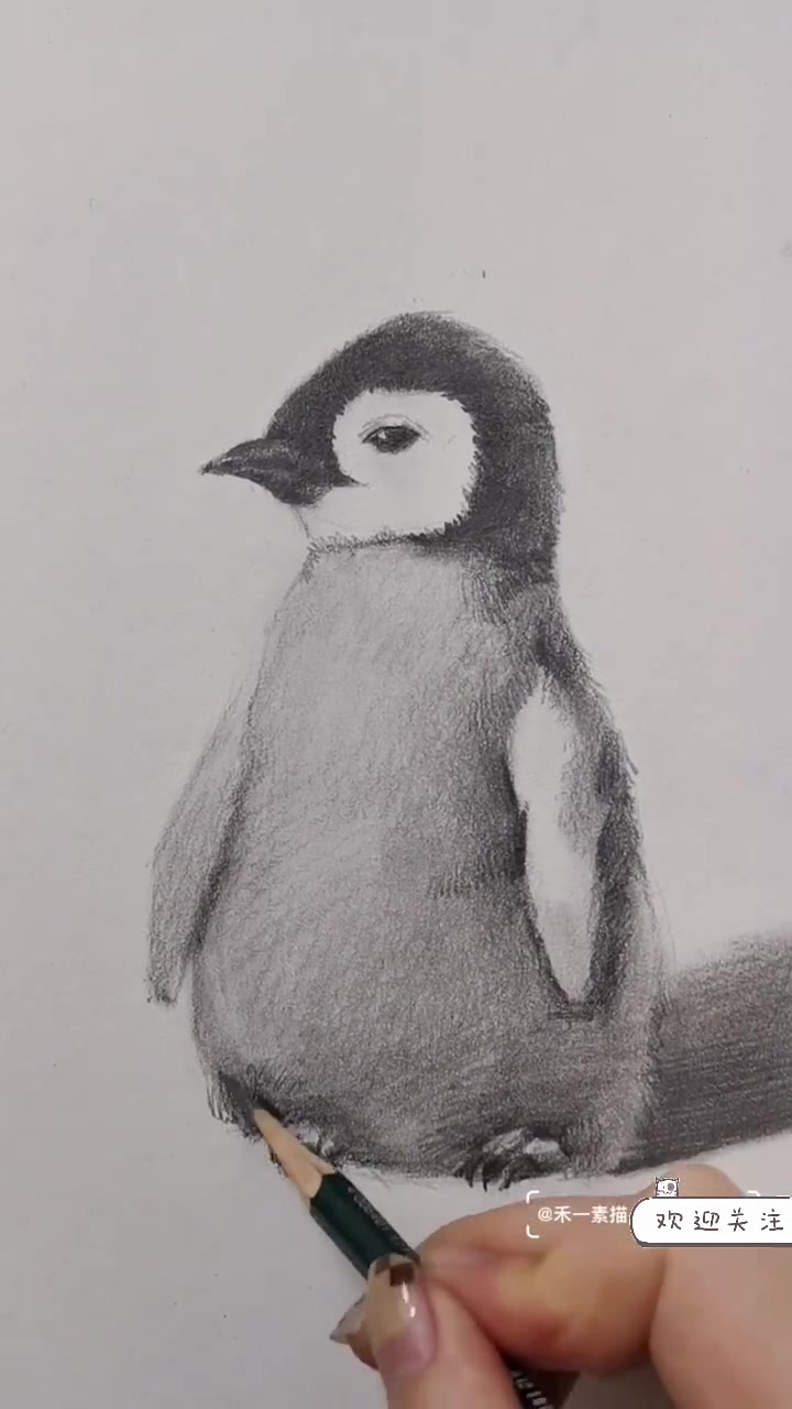 零基础素描入门教程～小企鹅绘画教程