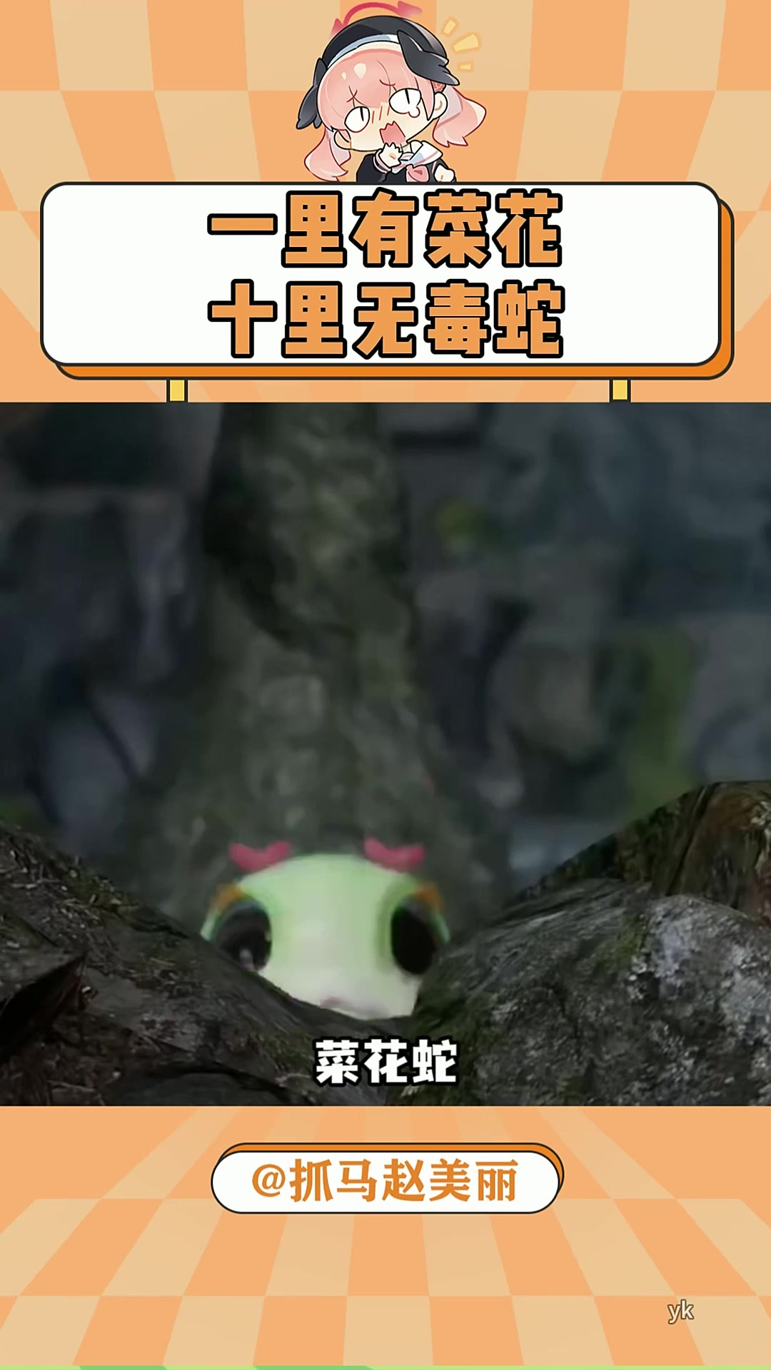 一里有菜花十里无毒蛇!