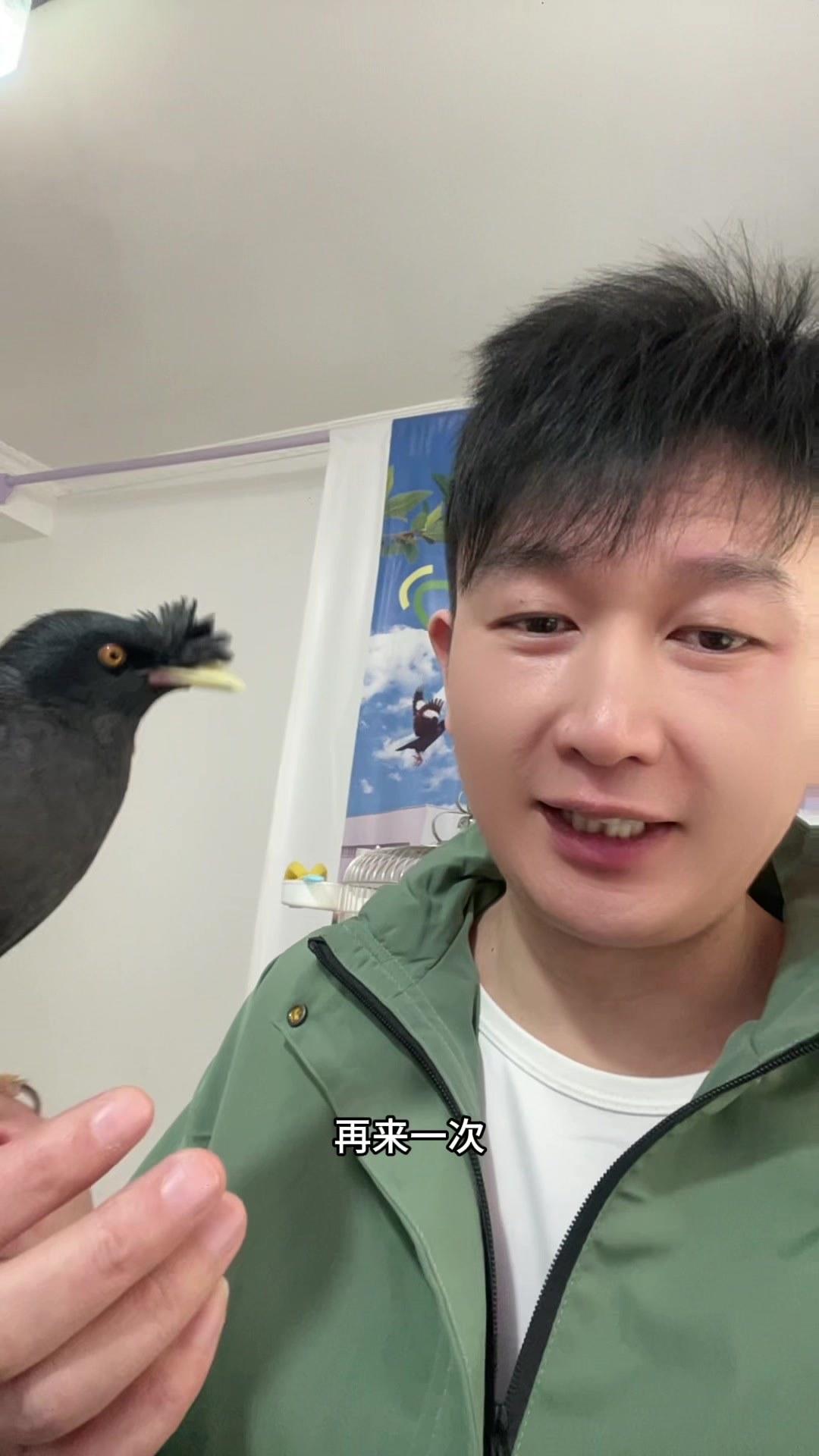 八哥鸟定点便便!