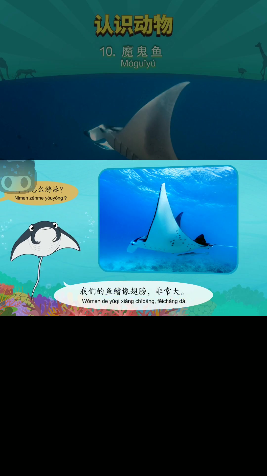 魔鬼鱼自述海里最大摇鱼生活习性与天敌全揭秘