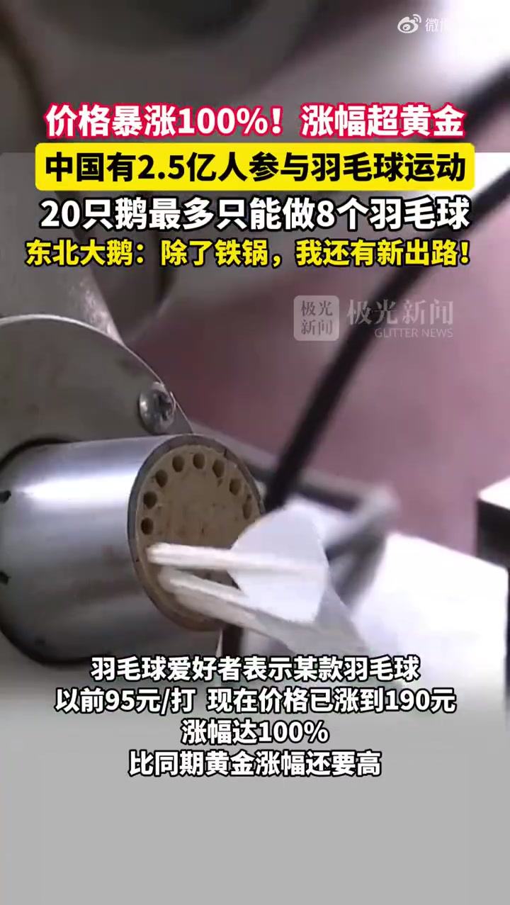 羽毛球涨价超100%!东北大鹅:除了铁锅,我还有新出路!网友:鹅毛做羽毛球、鹅绒做羽绒服、