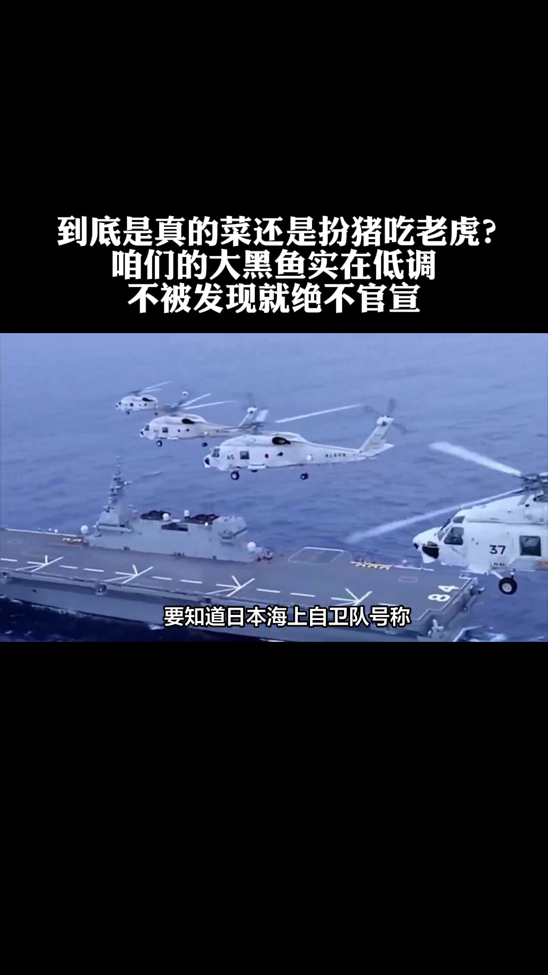 到底是真菜还是扮猪吃老虎?这大黑鱼很低调