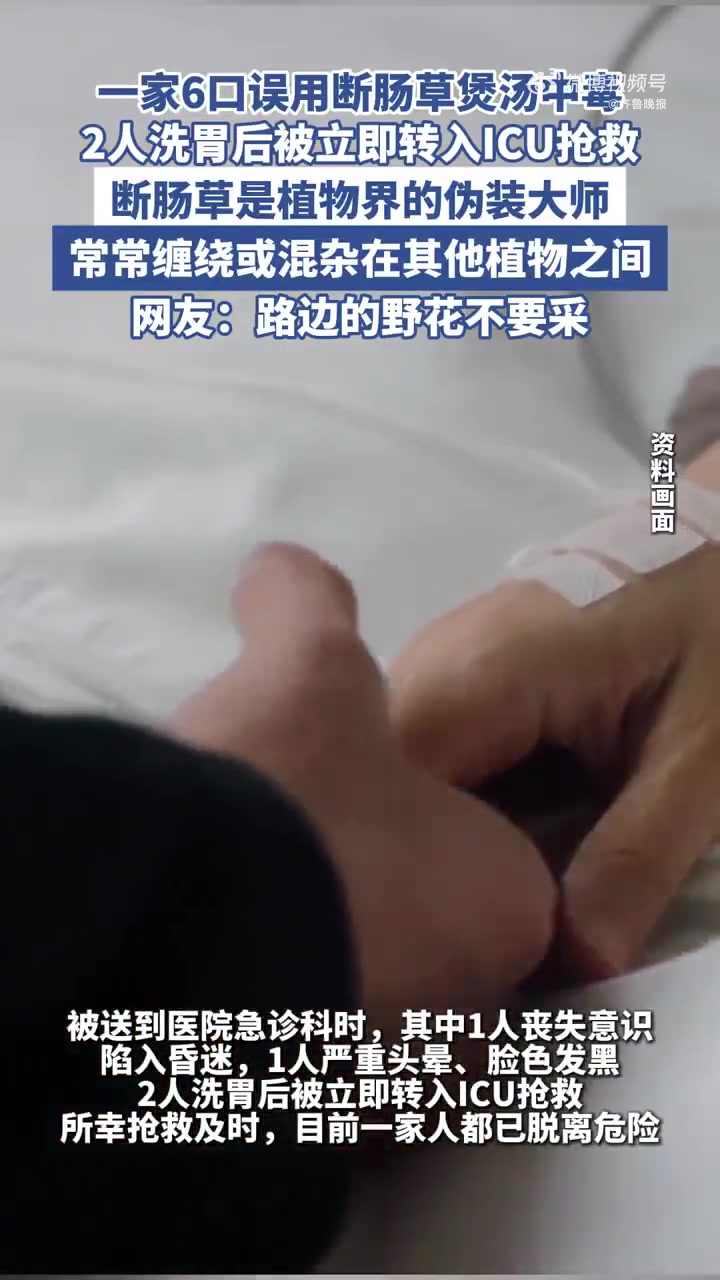 日前,广东佛山街坊张婶(化名)一家6口在家中煮了一锅“五指毛桃煲鸡汤”一同享用。不料喝下“