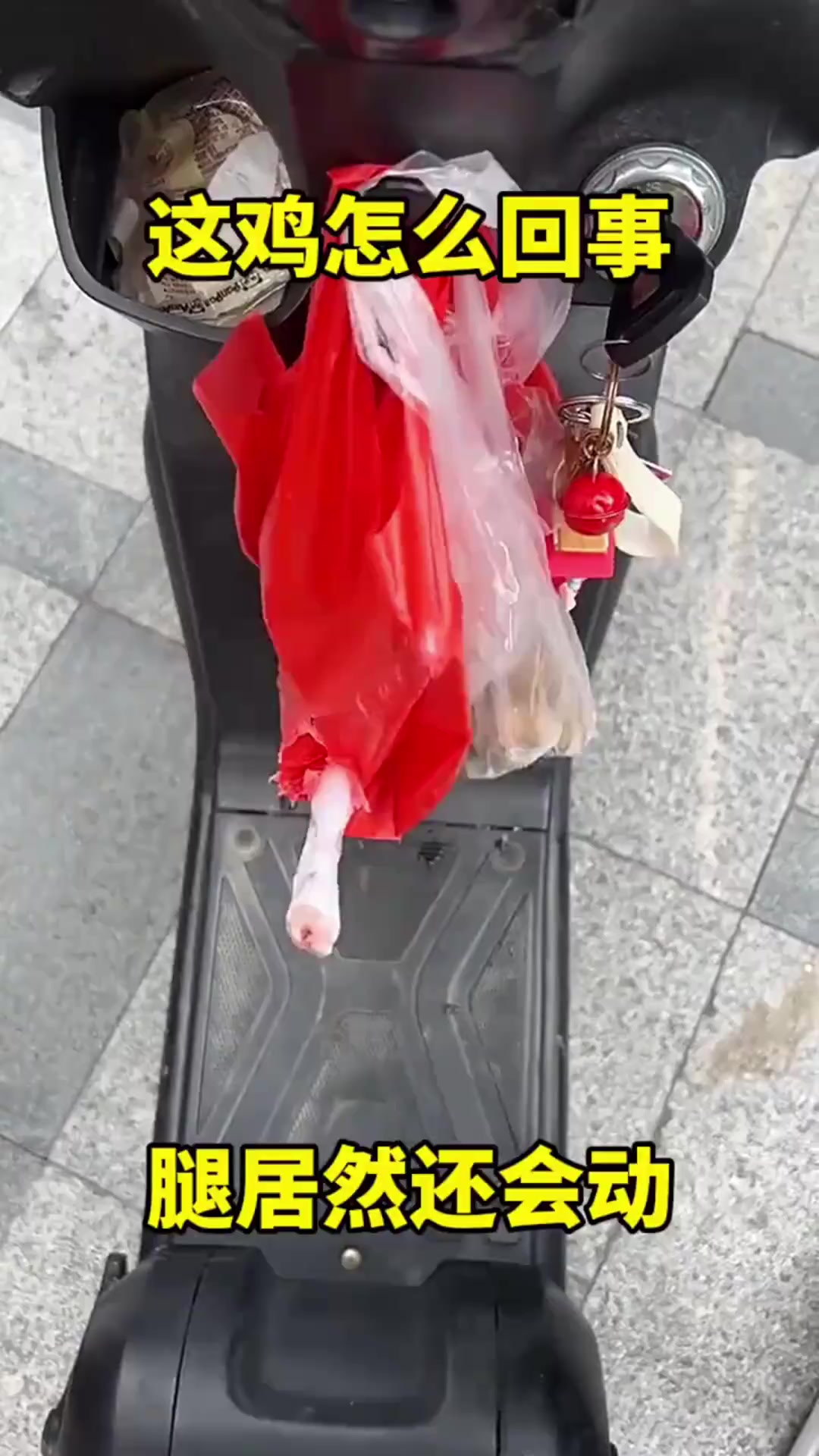 活鸡“逃跑”趣事:三黄鸡竟然在袋中乱蹬腿!