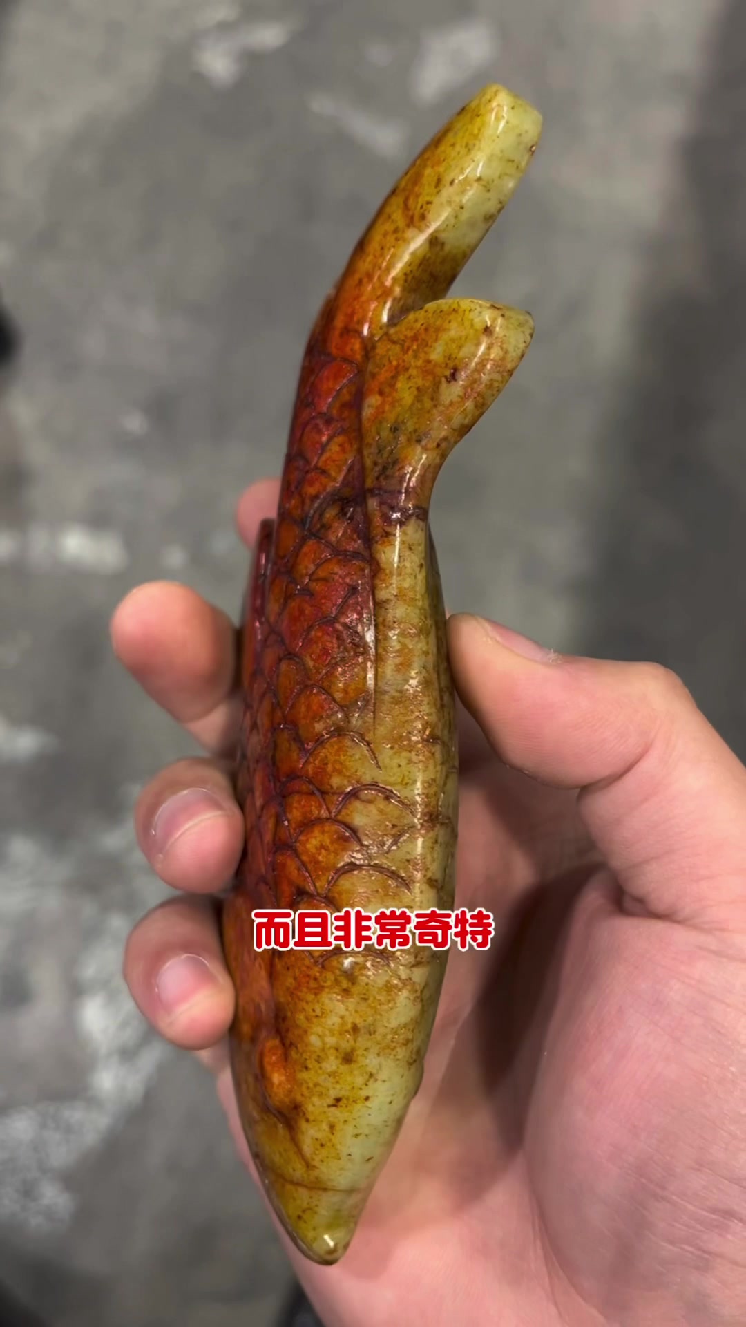 南通李大哥带来会游的鱼