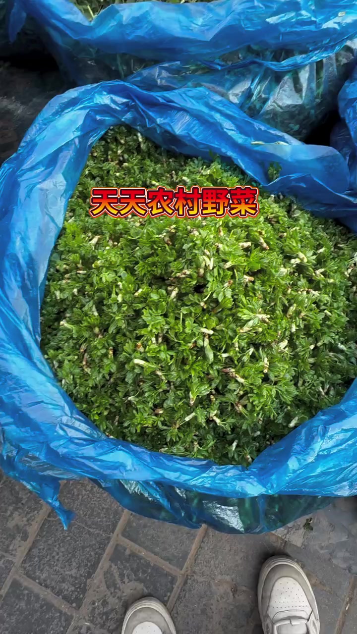 天水本地五月菜有想吃啥的吗!