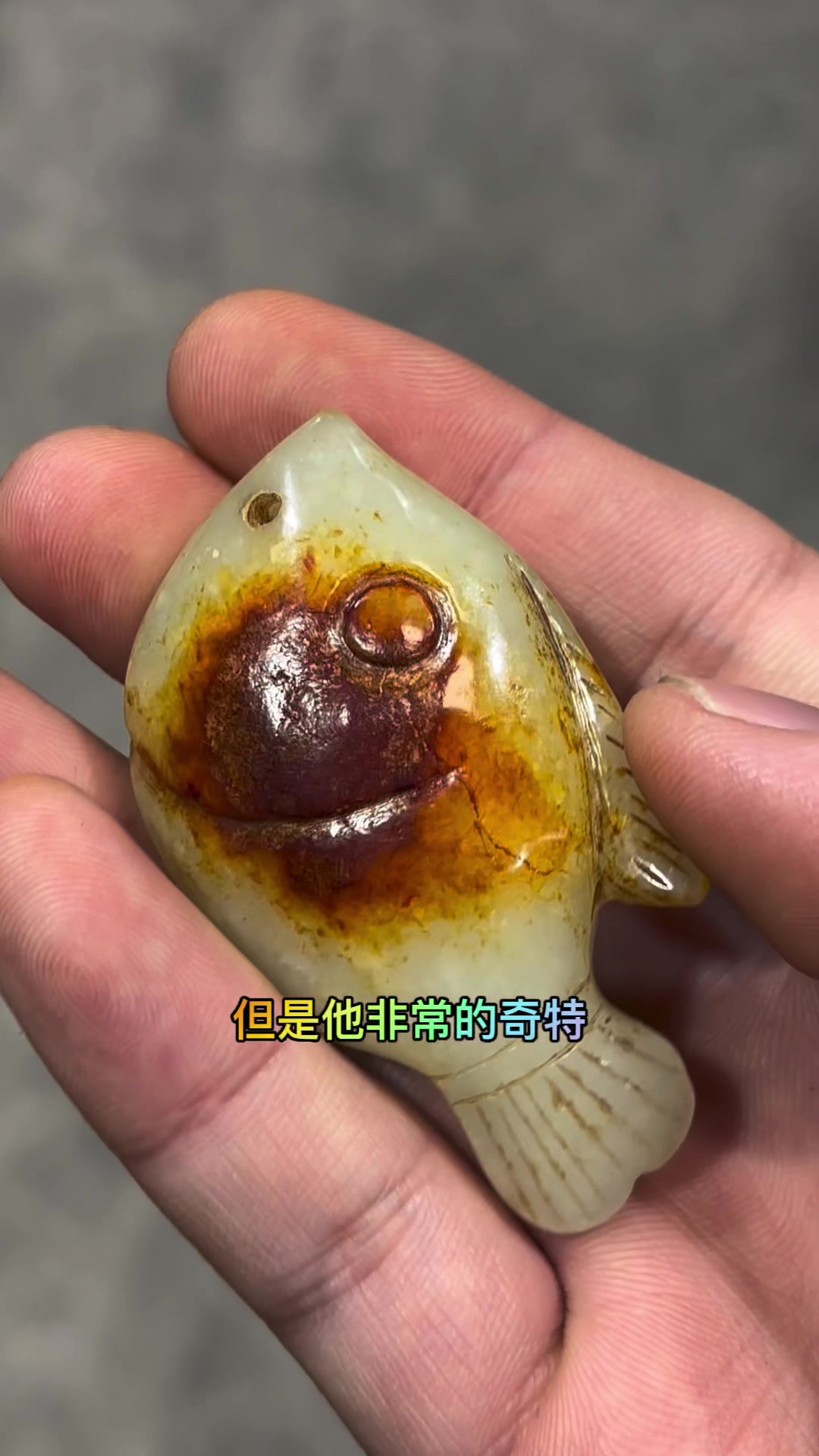 安徽巢湖大哥带来会游的鱼