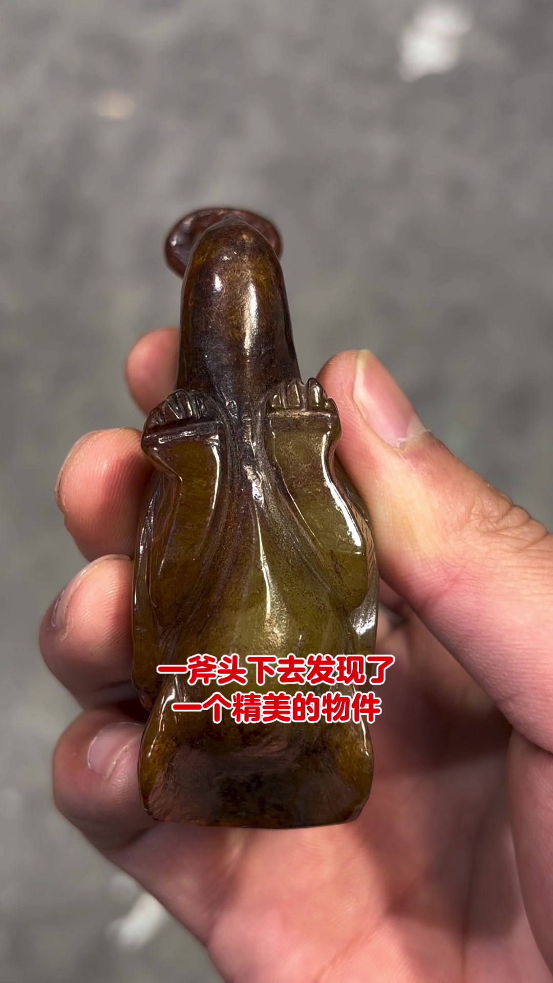 夫妇开荒种菜扒出来的鸟