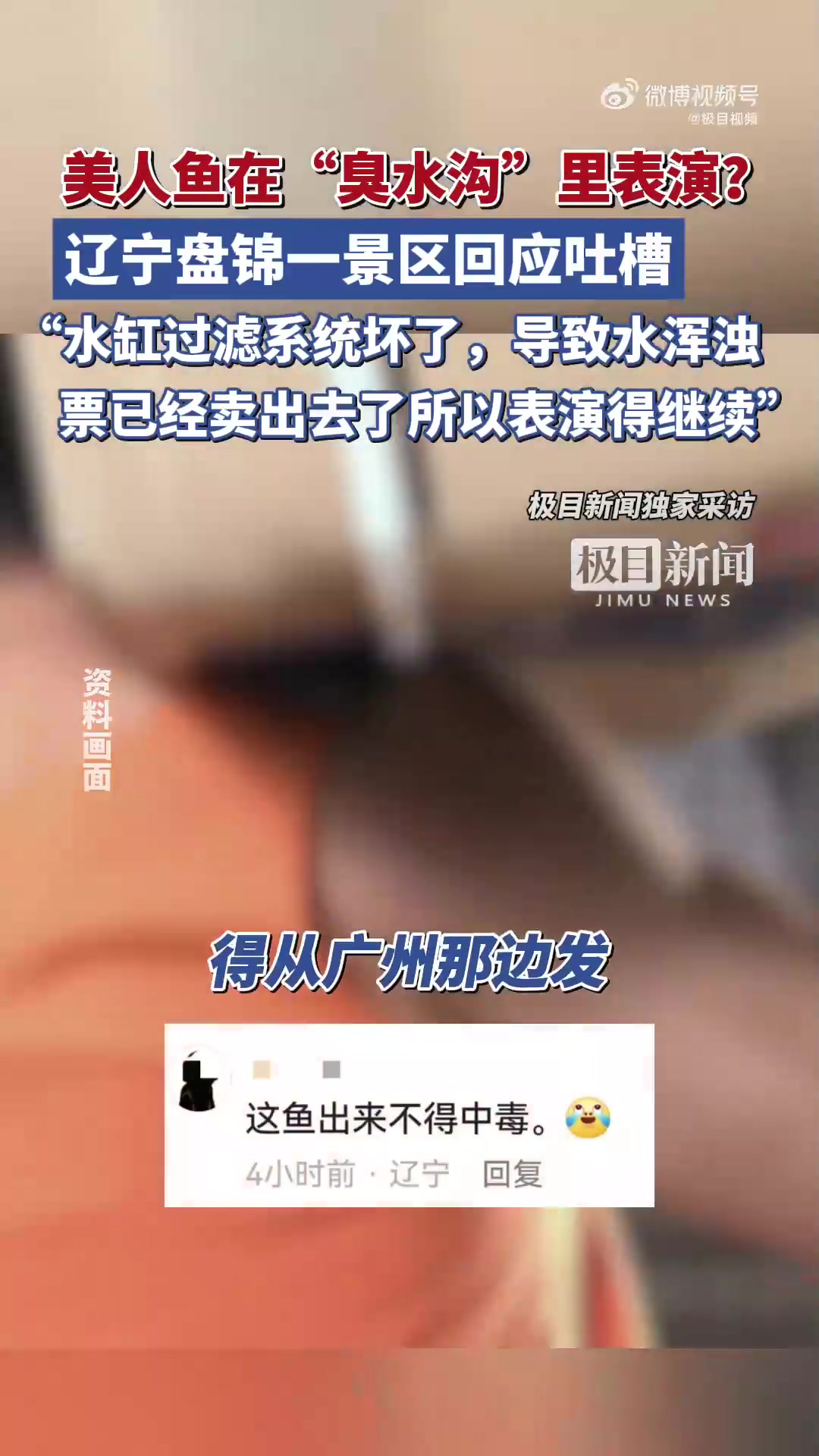 游客吐槽美人鱼在泛绿臭水沟里表演,景区:水缸过滤系统坏了