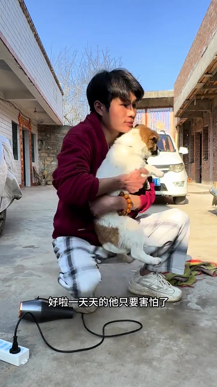 我的乡村生活,小狗汤圆在老家真的自由啊,追着鸡到处跑,今天必须给他洗洗了
