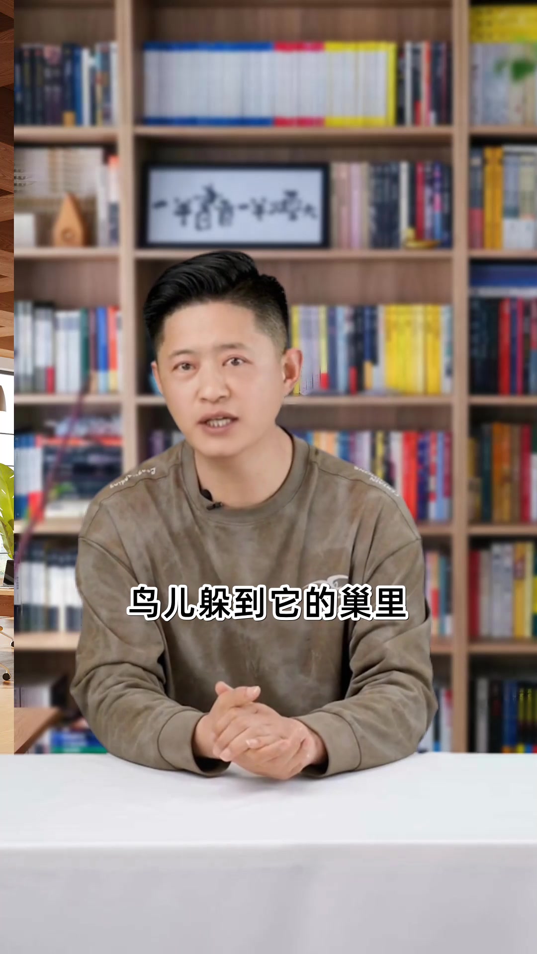 繁星出自哪本书这些句子治愈了千万人