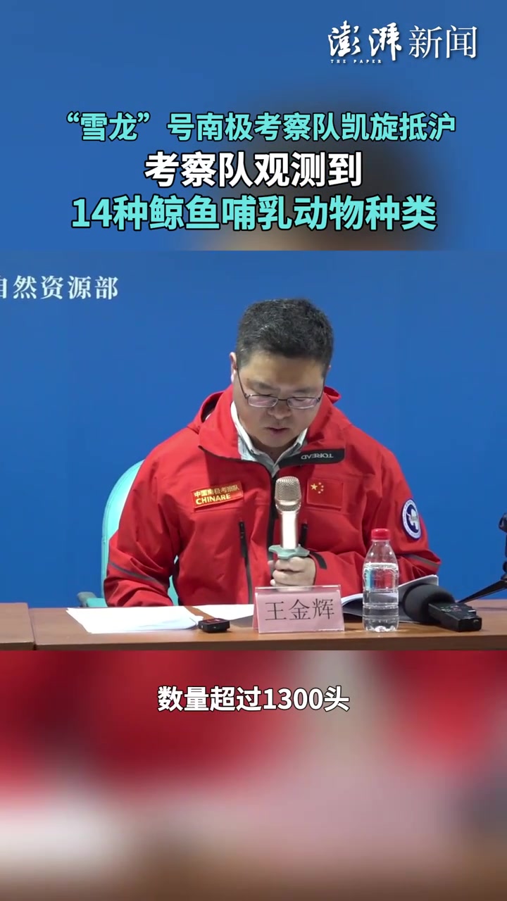 “雪龙”号南极考察队凯旋,观测到14种鲸鱼哺乳动物种类
