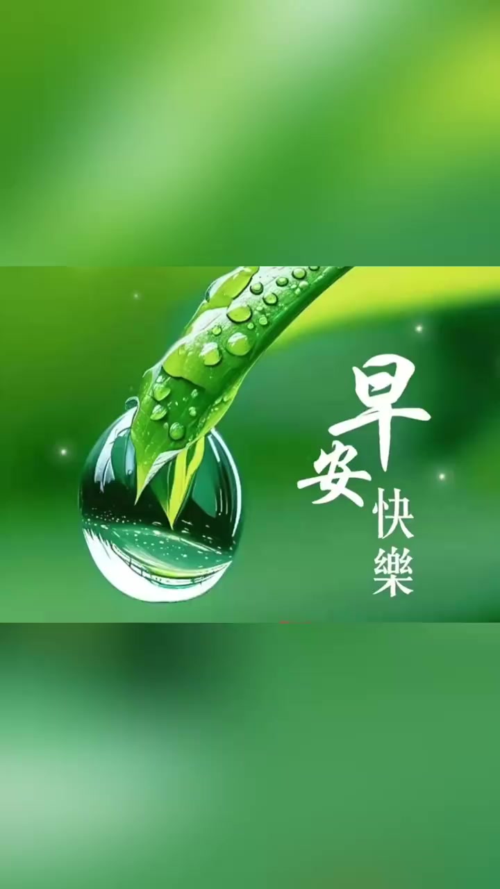 鱼腥草功效奇!金峰之约 感悟人生感悟生活