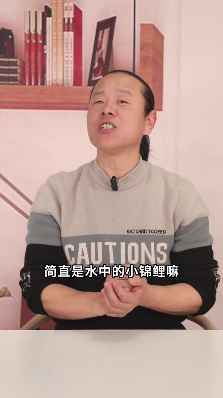 最受欢迎的8大观赏鱼,这些都特别适合新手,皮实好养还漂亮