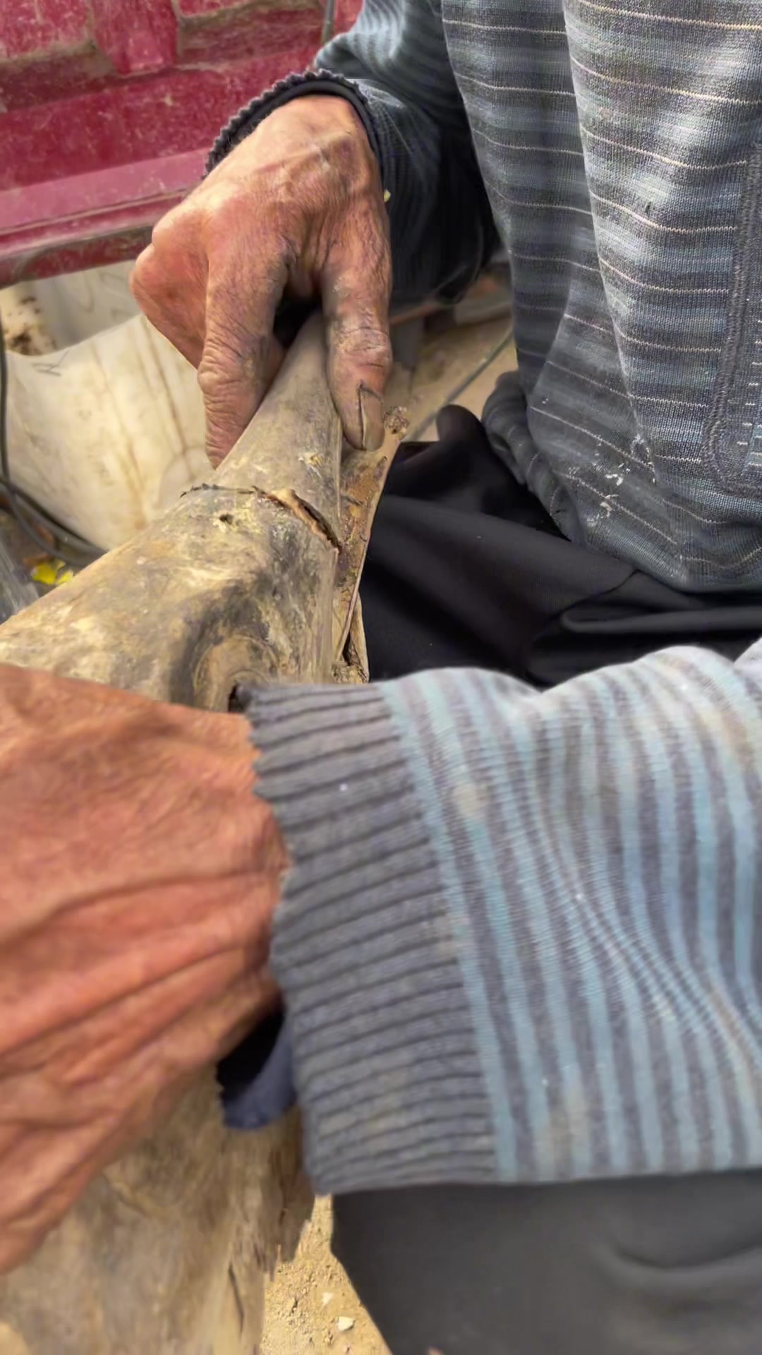 农村大集老手艺人,修补金枪鱼标本,技术真是太牛了