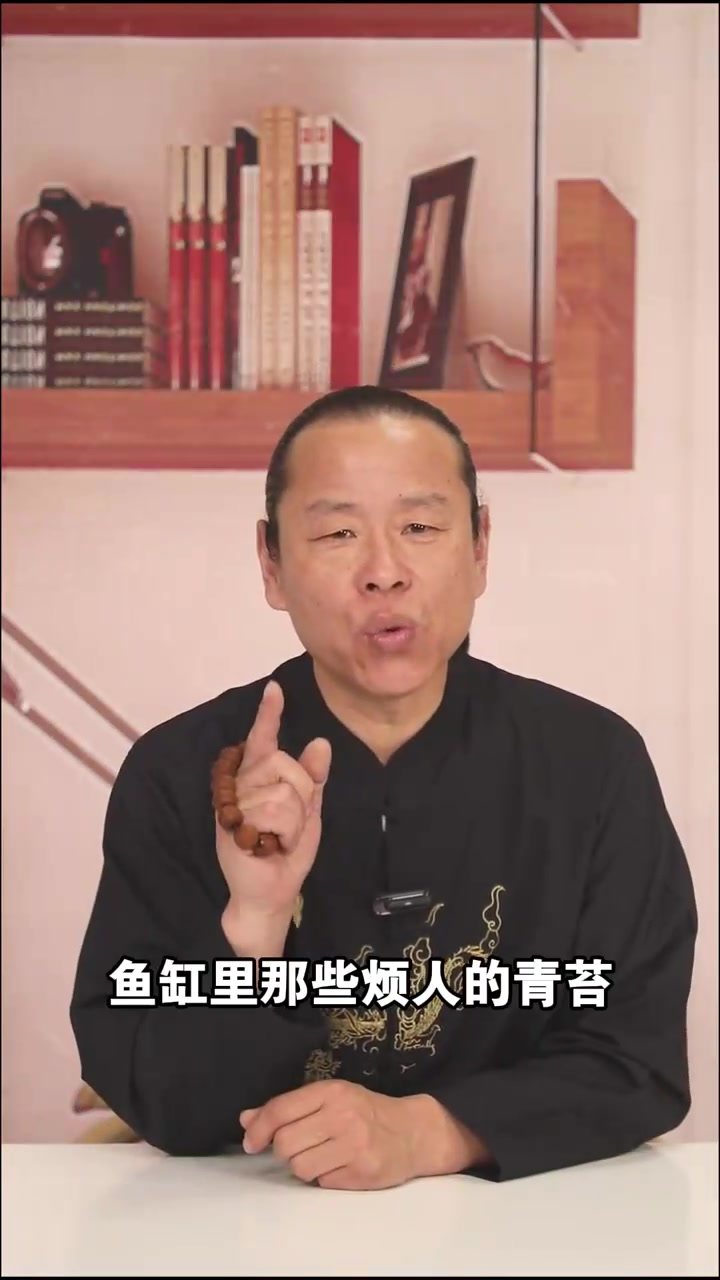 你见过只吃水藻青苔、鱼便残渣、死鱼死虾的观赏鱼吗?那就是鱼缸里的“超级清洁工”鼠鱼!