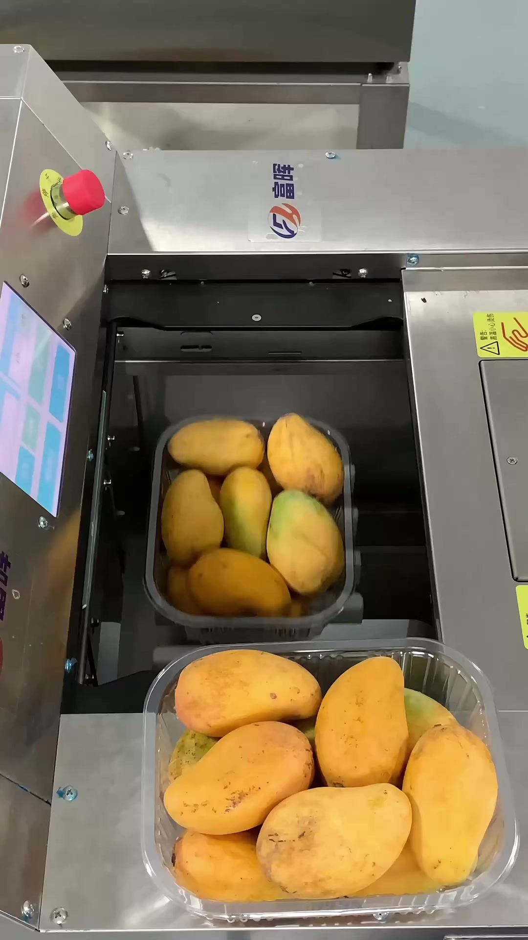 保鲜膜包装机怎么打包水果?