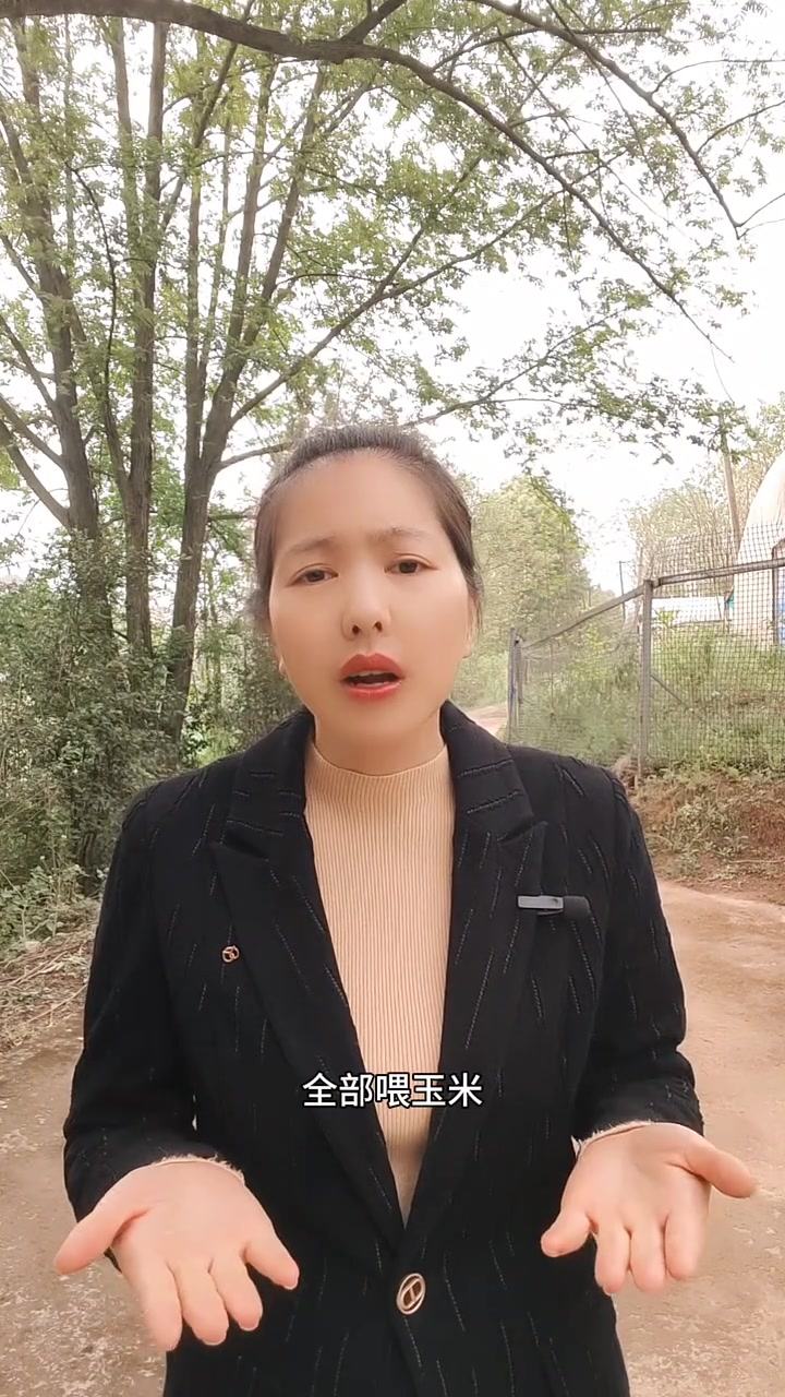 新手小白养鸡必须懂方法知识,一定不能盲目开展养殖,技术是四两拨千斤的,大家懂了再去做