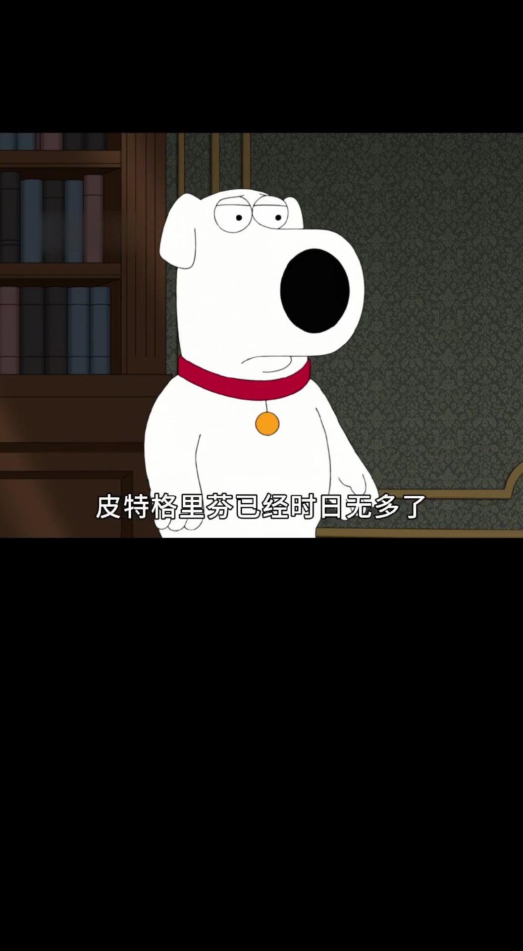 恶搞之家:饺子成为上流社会的一员,天天用男模排解孤单!