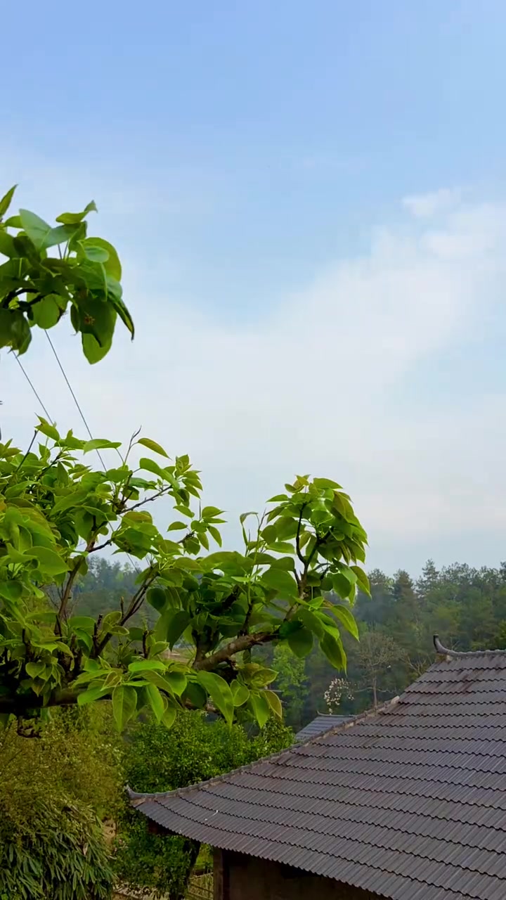 出摊前给村里的人做一大锅羊肉粉尝尝,看到他们吃的那么香,感觉我们成功了一半 记录摆摊