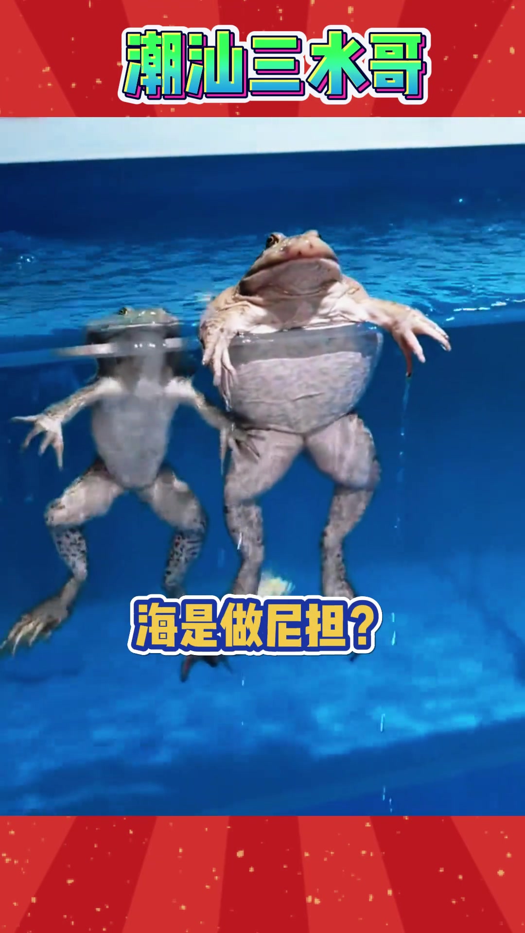 水鸡兄:老子无所畏惧!