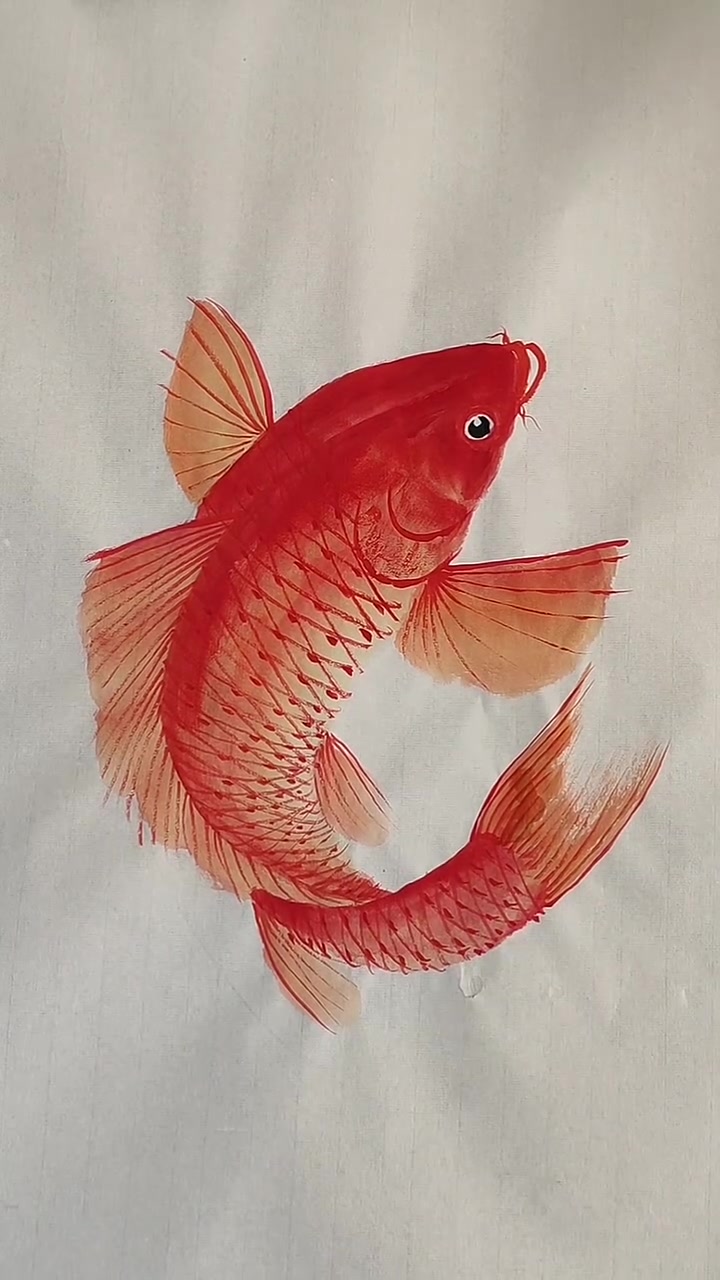 画大鲤鱼