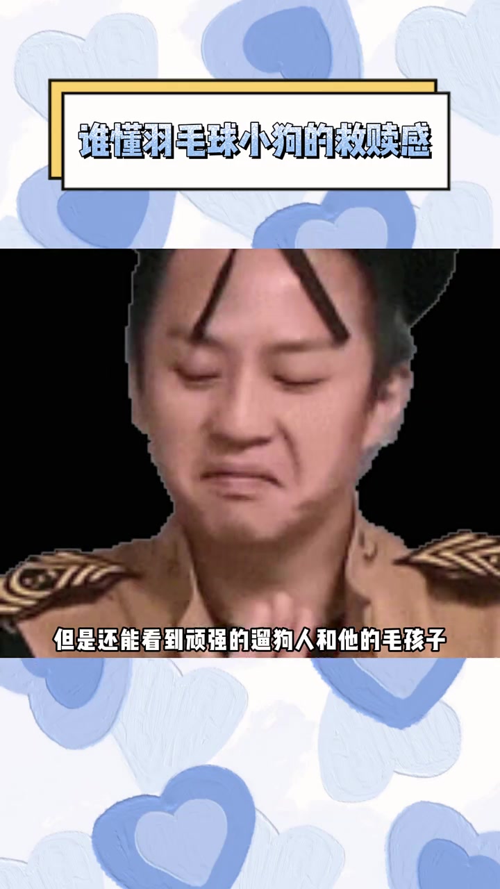 谁懂羽毛球小狗的救赎感,我懂我懂 大风 小狗 搞笑