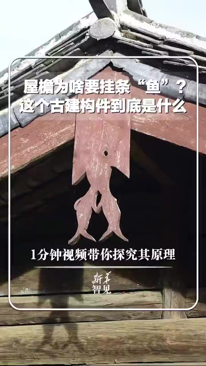 「中国传统建筑屋檐为啥要挂条鱼?」鱼,又称作垂鱼、悬鱼,是悬山式和歇山式传统建筑屋面部分的
