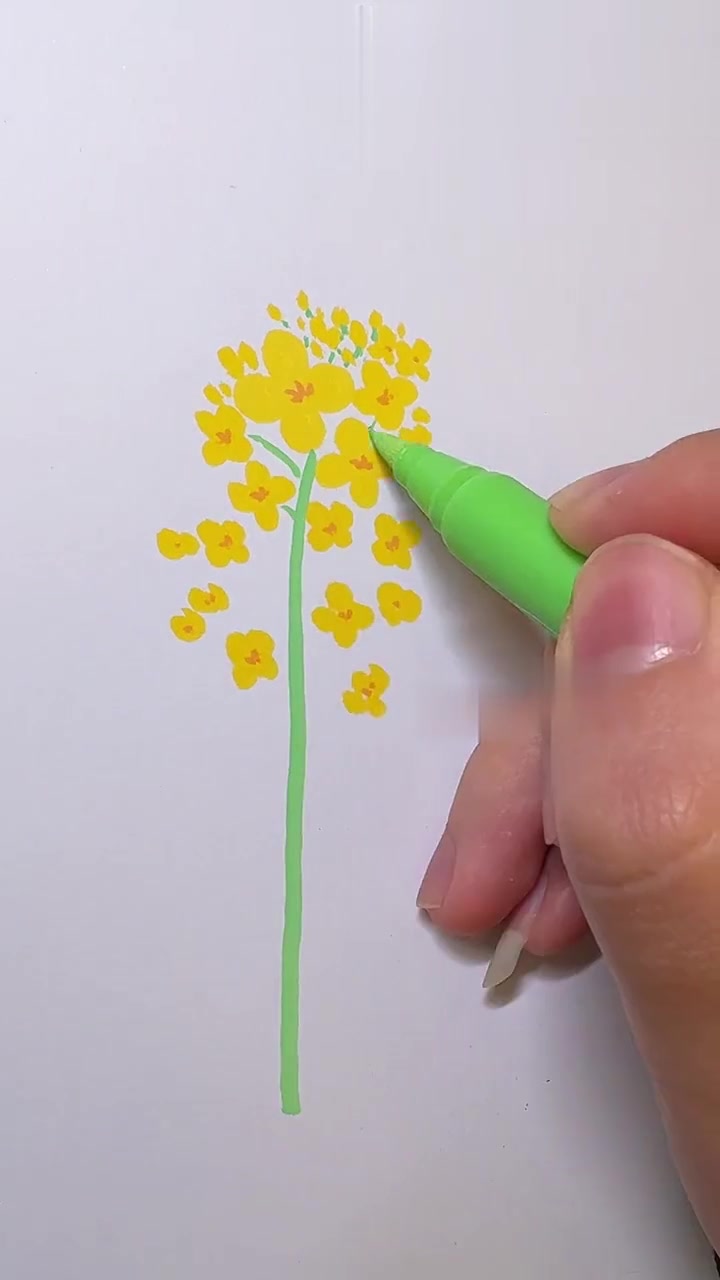 教你用马克笔轻松画出春天的油菜花，原创油菜花手绘教程，让春天在画笔下绽放