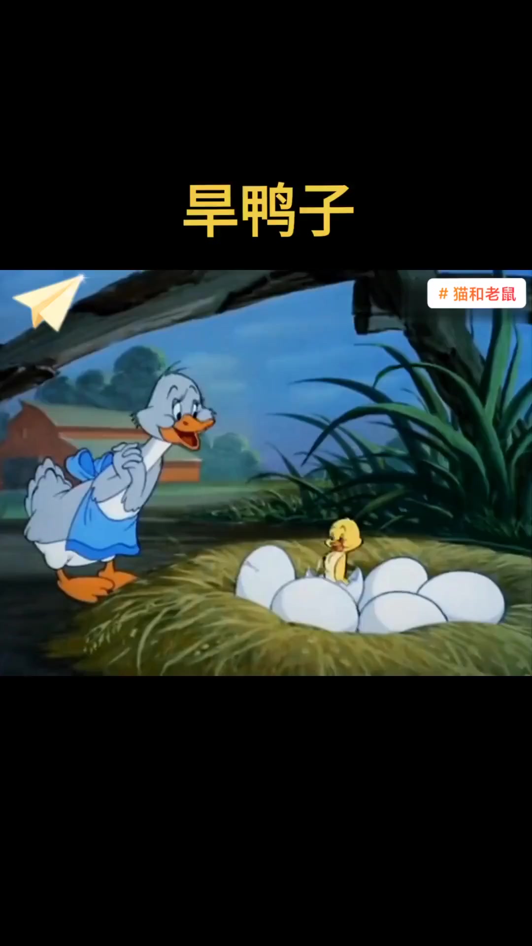 这个小鸭子真的是太可爱了