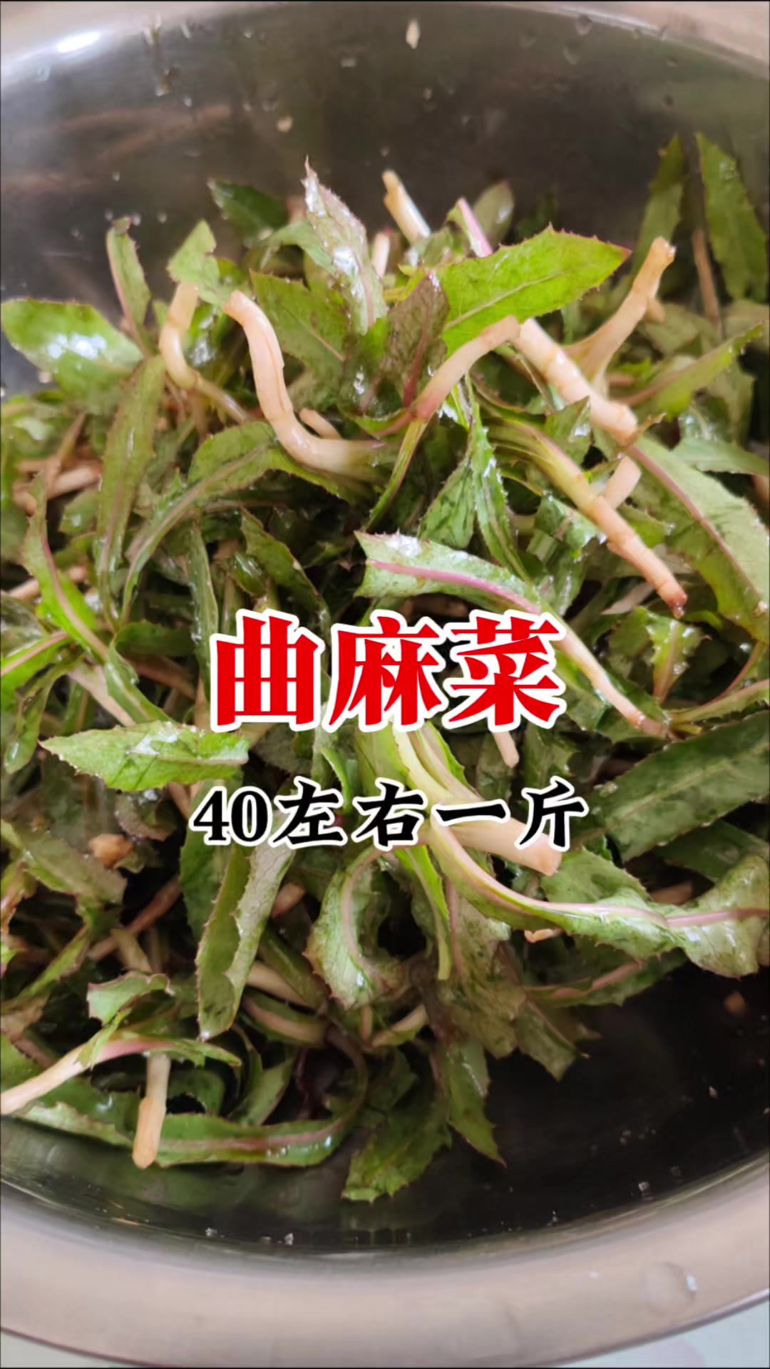 农村常见的苦菜,到底有啥珍贵?要40左右一斤?