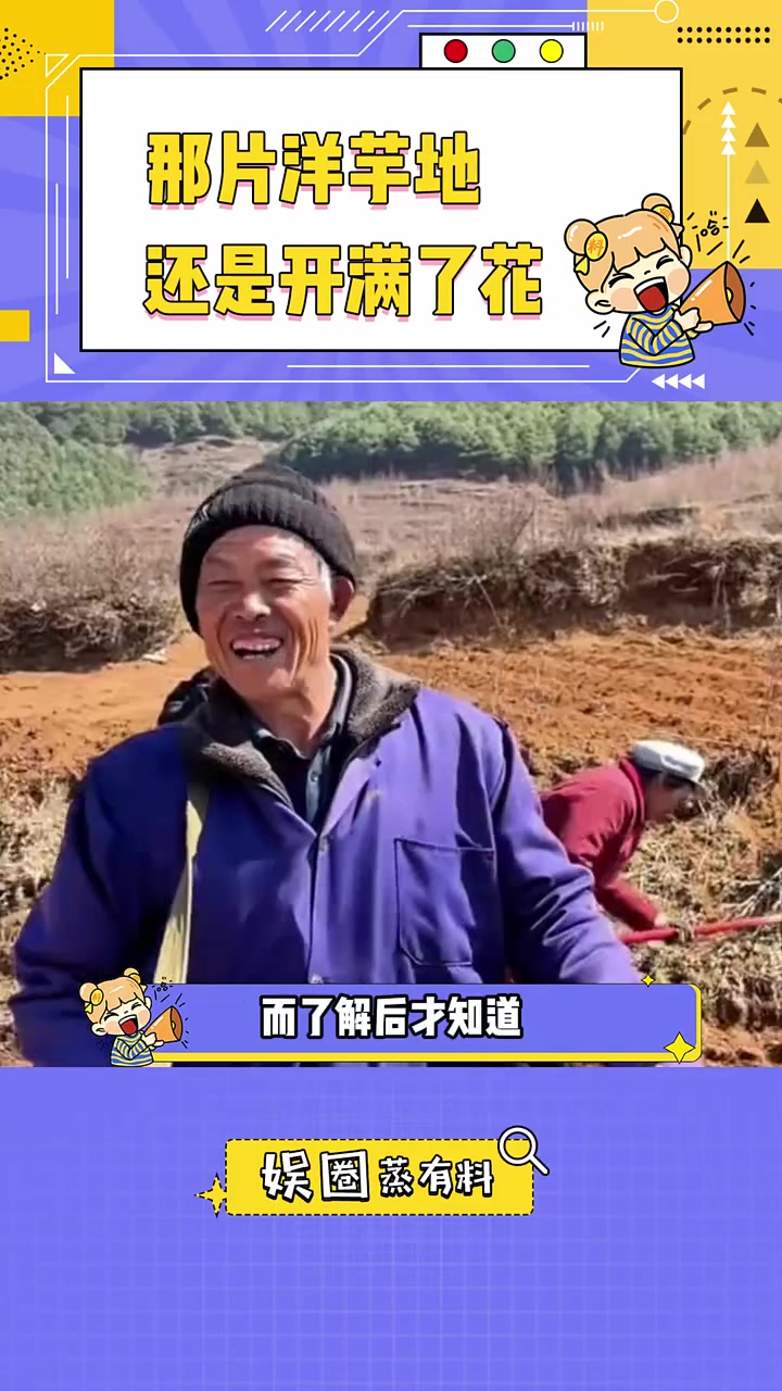 这片洋芋地终于还是开出了花 助农  噜咪啦鲜切薯片